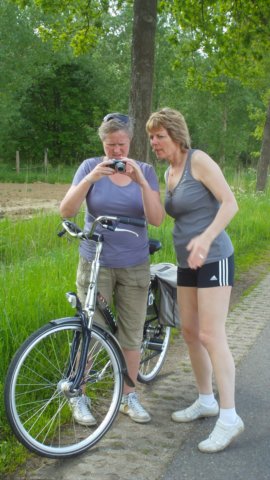 2012 HWK 062.jpg